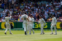 MELBOURNE, AUSTRALIA - DECEMBER 27: New Zealand team celebrates catching Steve Smith of Australia out during day two of the Second Test match in the series between Australia and New Zealand at The Melbourne Cricket Ground on December 27, 2019 in Melbourne, Australia. (Photo by Speed Media/Icon Sportswire)