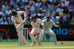 MELBOURNE, AUSTRALIA - DECEMBER 27: Tim Paine of Australia bats during day two of the Second Test match in the series between Australia and New Zealand at The Melbourne Cricket Ground on December 27, 2019 in Melbourne, Australia. (Photo by Speed Media/Icon Sportswire)