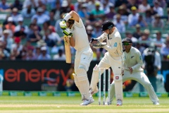 MELBOURNE, AUSTRALIA - DECEMBER 27: Tim Paine of Australia bats during day two of the Second Test match in the series between Australia and New Zealand at The Melbourne Cricket Ground on December 27, 2019 in Melbourne, Australia. (Photo by Speed Media/Icon Sportswire)