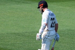 MELBOURNE, AUSTRALIA - DECEMBER 27: Kane Williamson of New Zealand caught out during day two of the Second Test match in the series between Australia and New Zealand at The Melbourne Cricket Ground on December 27, 2019 in Melbourne, Australia. (Photo by Speed Media/Icon Sportswire)