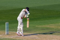 MELBOURNE, AUSTRALIA - DECEMBER 27: Tom Latham of New Zealand is stuck by the ball during day two of the Second Test match in the series between Australia and New Zealand at The Melbourne Cricket Ground on December 27, 2019 in Melbourne, Australia. (Photo by Speed Media/Icon Sportswire)