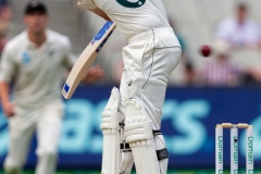 MELBOURNE, AUSTRALIA - DECEMBER 28: Travis Head of Australia bats during day three of the Second Test match in the series between Australia and New Zealand at The Melbourne Cricket Ground on December 28, 2019 in Melbourne, Australia. (Photo by Speed Media/Icon Sportswire)