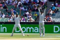MELBOURNE, AUSTRALIA - DECEMBER 29: Kane Williamson of New Zealand caught out during day four of the Second Test match in the series between Australia and New Zealand at The Melbourne Cricket Ground on December 29, 2019 in Melbourne, Australia. (Photo by Speed Media/Icon Sportswire)