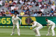 MELBOURNE, AUSTRALIA - DECEMBER 27: Tim Paine of Australia catches a ball during day two of the Second Vodafone Test cricket match between Australia and India at the Melbourne Cricket Ground on December 27, 2020 in Melbourne, Australia. (Photo by Dave Hewison/Speed Media/Icon Sportswire)