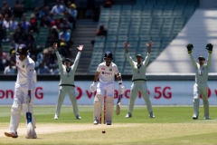 MELBOURNE, AUSTRALIA - DECEMBER 29: Australians cheer during day four of the Second Vodafone Test cricket match between Australia and India at the Melbourne Cricket Ground on December 29, 2020 in Melbourne, Australia. (Photo by Dave Hewison/Speed Media/Icon Sportswire)