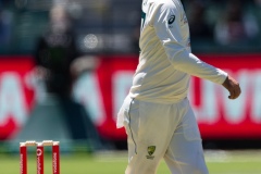 MELBOURNE, AUSTRALIA - DECEMBER 29: Josh Hazlewood of Australia catches the ball during day four of the Second Vodafone Test cricket match between Australia and India at the Melbourne Cricket Ground on December 29, 2020 in Melbourne, Australia. (Photo by Dave Hewison/Speed Media/Icon Sportswire)