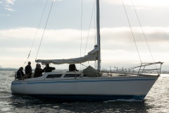 Credit: Matthew Poon/