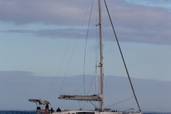 dhp2406220387_winter_race1_ah