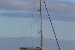 dhp2406220397_winter_race1_ah