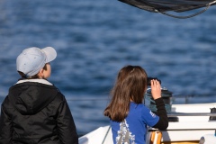 dhp2406221192_winter_race1_ah