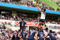MELBOURNE, AUSTRALIA - APRIL 18: Darcy Swain of the Brumbies catches the ball during the round nine Super Rugby AU match between the Melbourne Rebels and ACT Brumbies at AAMI Park on April 18, 2021 in Melbourne, Australia. (Photo by Speed Media/Icon Sportswire) MELBOURNE, AUSTRALIA - APRIL 18: Darcy Swain of the Brumbies catches the ball during the round nine Super Rugby AU match between the Melbourne Rebels and ACT Brumbies at AAMI Park on April 18, 2021 in Melbourne, Australia. (Photo by Speed Media/Icon Sportswire)