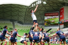 MELBOURNE, AUSTRALIA - APRIL 18: Cadeyrn Neville of the Brumbies catches the ball during the round nine Super Rugby AU match between the Melbourne Rebels and ACT Brumbies at AAMI Park on April 18, 2021 in Melbourne, Australia. (Photo by Speed Media/Icon Sportswire) MELBOURNE, AUSTRALIA - APRIL 18: Cadeyrn Neville of the Brumbies catches the ball during the round nine Super Rugby AU match between the Melbourne Rebels and ACT Brumbies at AAMI Park on April 18, 2021 in Melbourne, Australia. (Photo by Speed Media/Icon Sportswire)